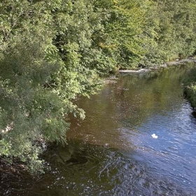 below-the-green-bridge