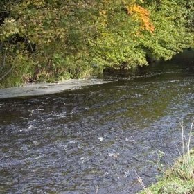 down-stream-from-the-alps