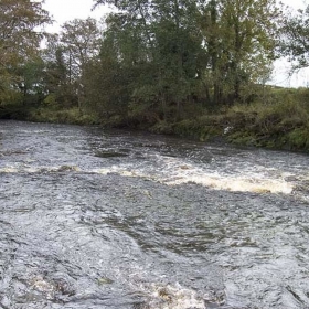 downstream-from-barclays-weir