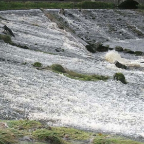 garvagh-weir-1