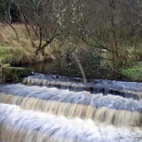 the-hatchery-water-source